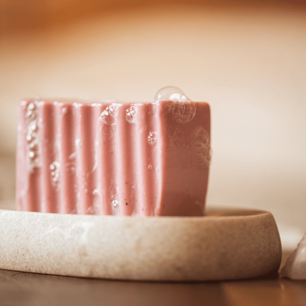 Root Chakra Soap sitting soap dish | Shine Body & Bath