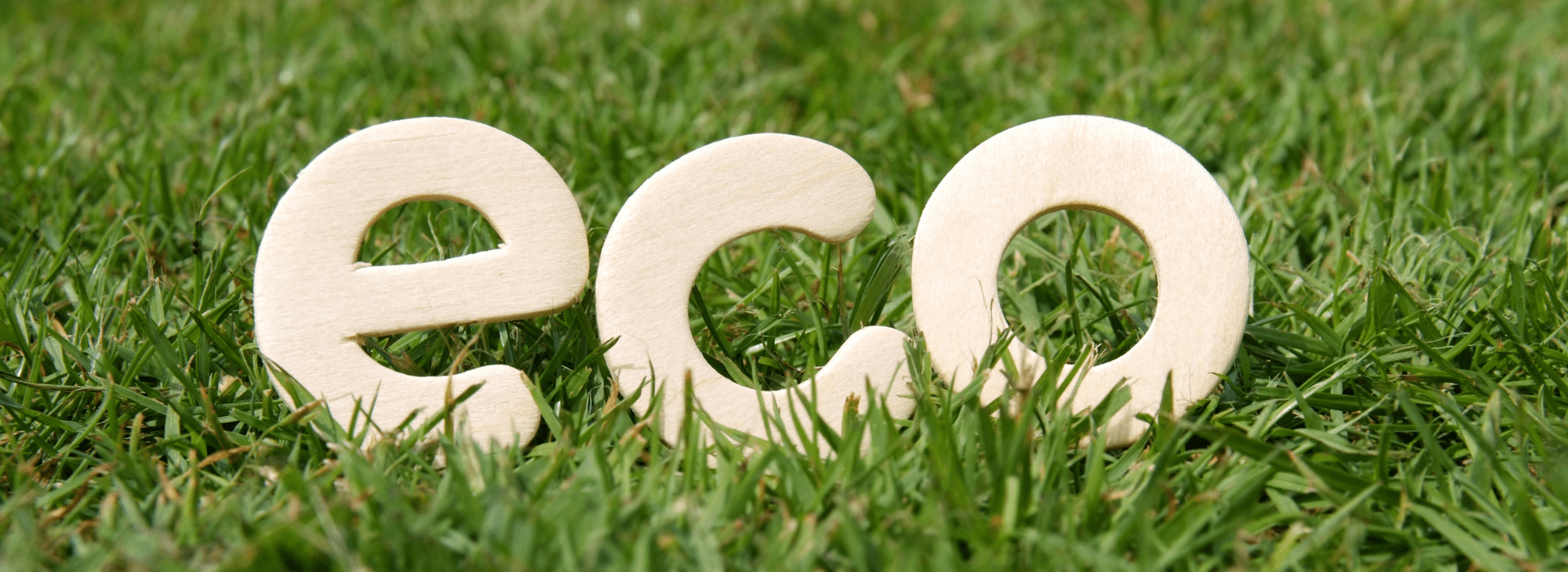 Switch to Soap - Top five reasons | eco sign in grass | Shine Body & Bath Chakra Soap | Blog
