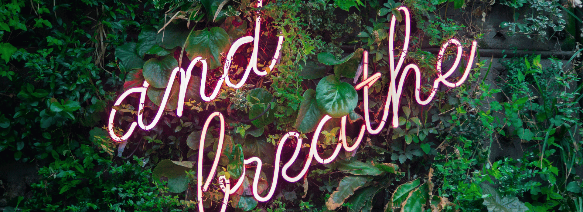 Pink neon sign which reads 'and breathe' on a wall of foliage | The Secret to Breathing Well Blog | Shine Body & Bath Chakra Soap | Blog