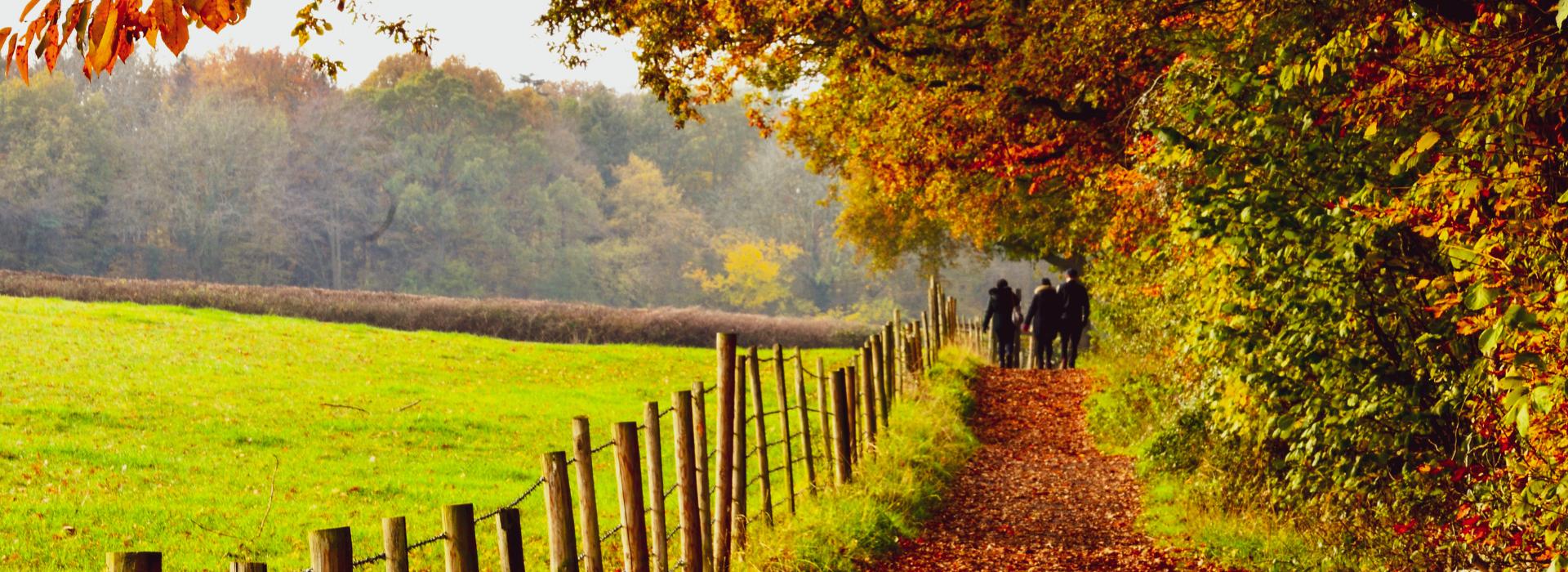 Shine In, Shine Out: Autumn Rituals to Ground and Reset Your Energy | Autumn scene