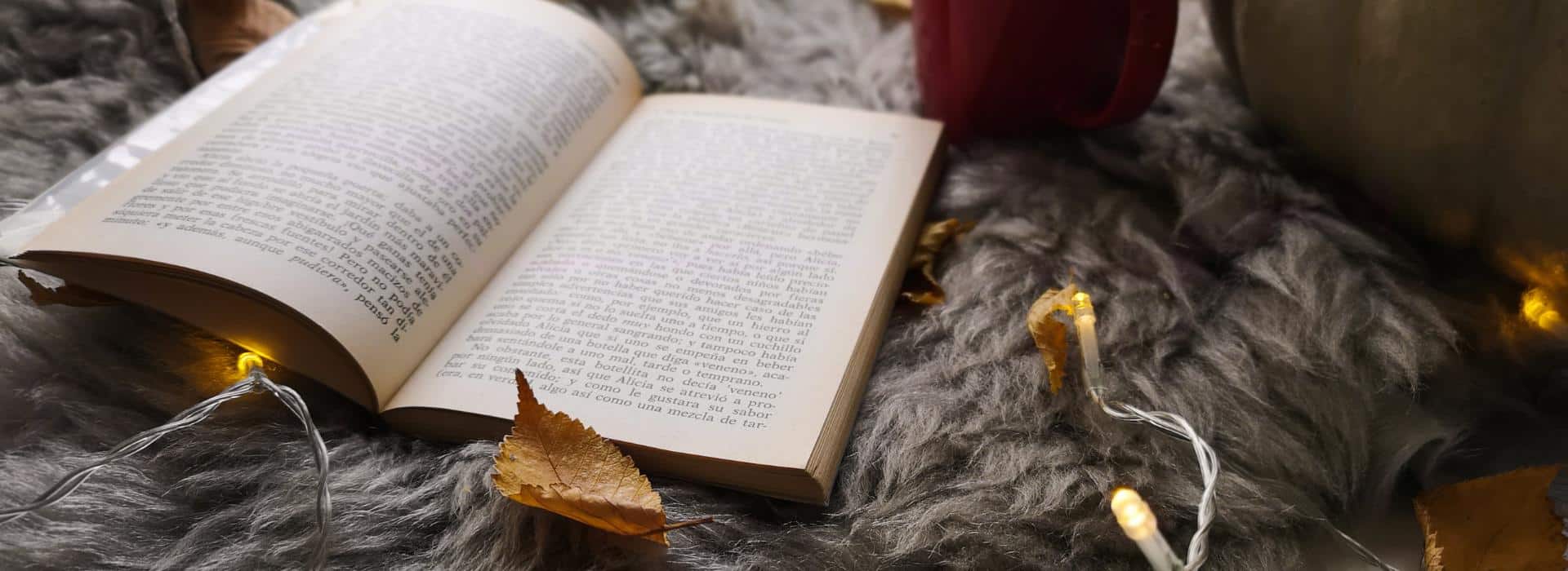 Shine In, Shine Out: Autumn Rituals to Ground and Reset Your Energy | Book on fur throw